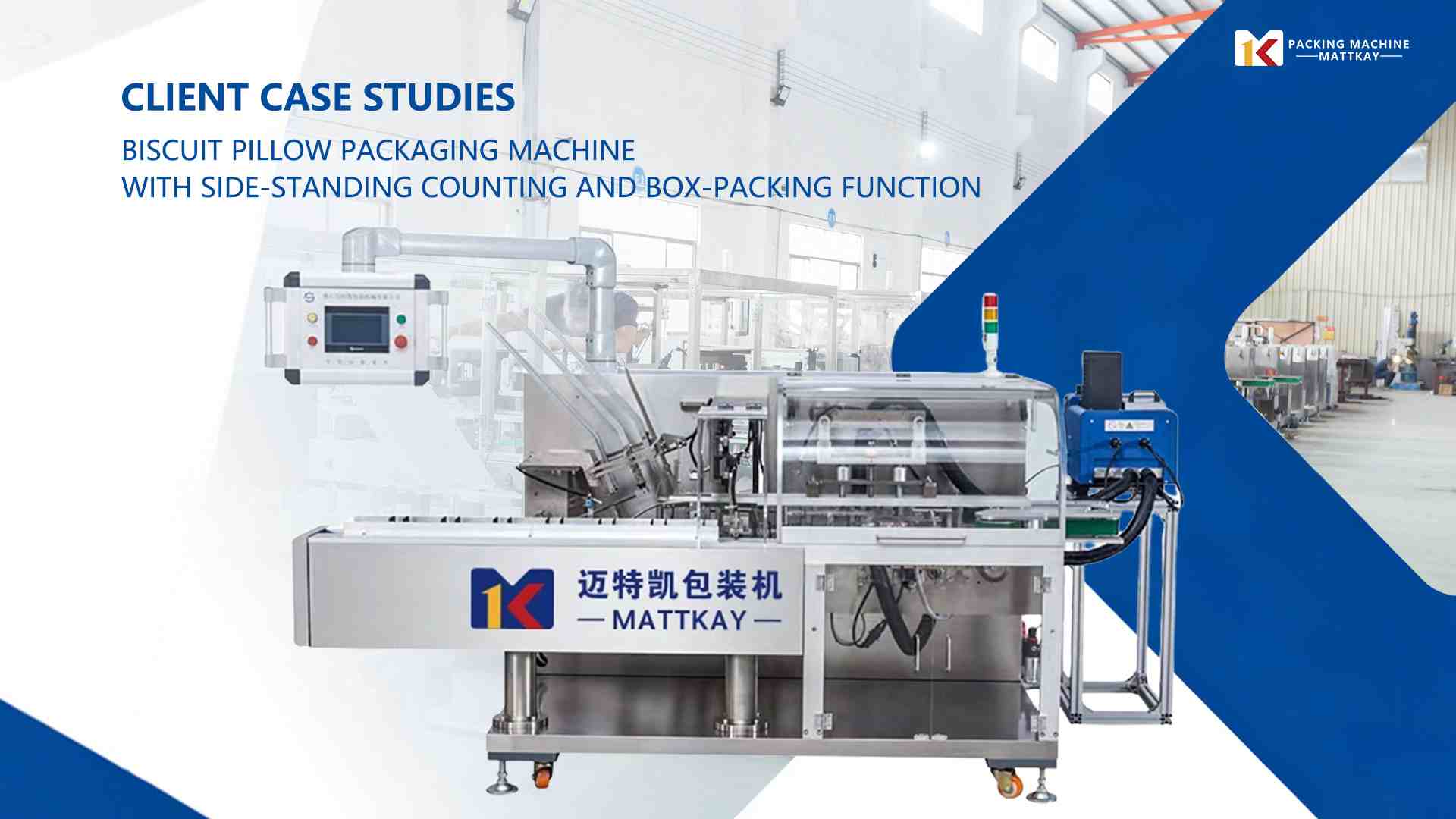 Biscuit Pillow Packaging Machine with Side Standing | High Speed & Stable Pack