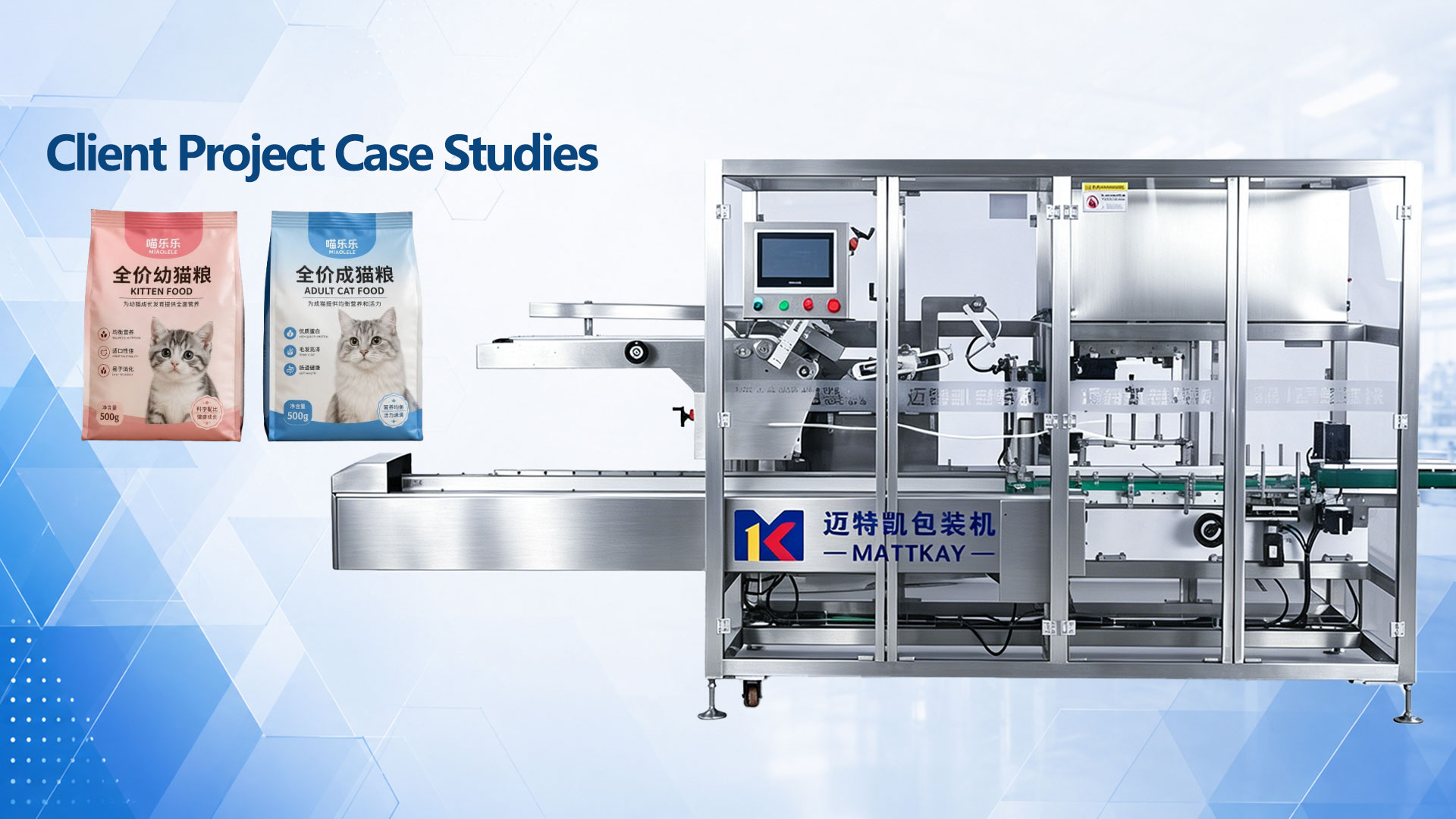 Cat Food Cartoning Machine