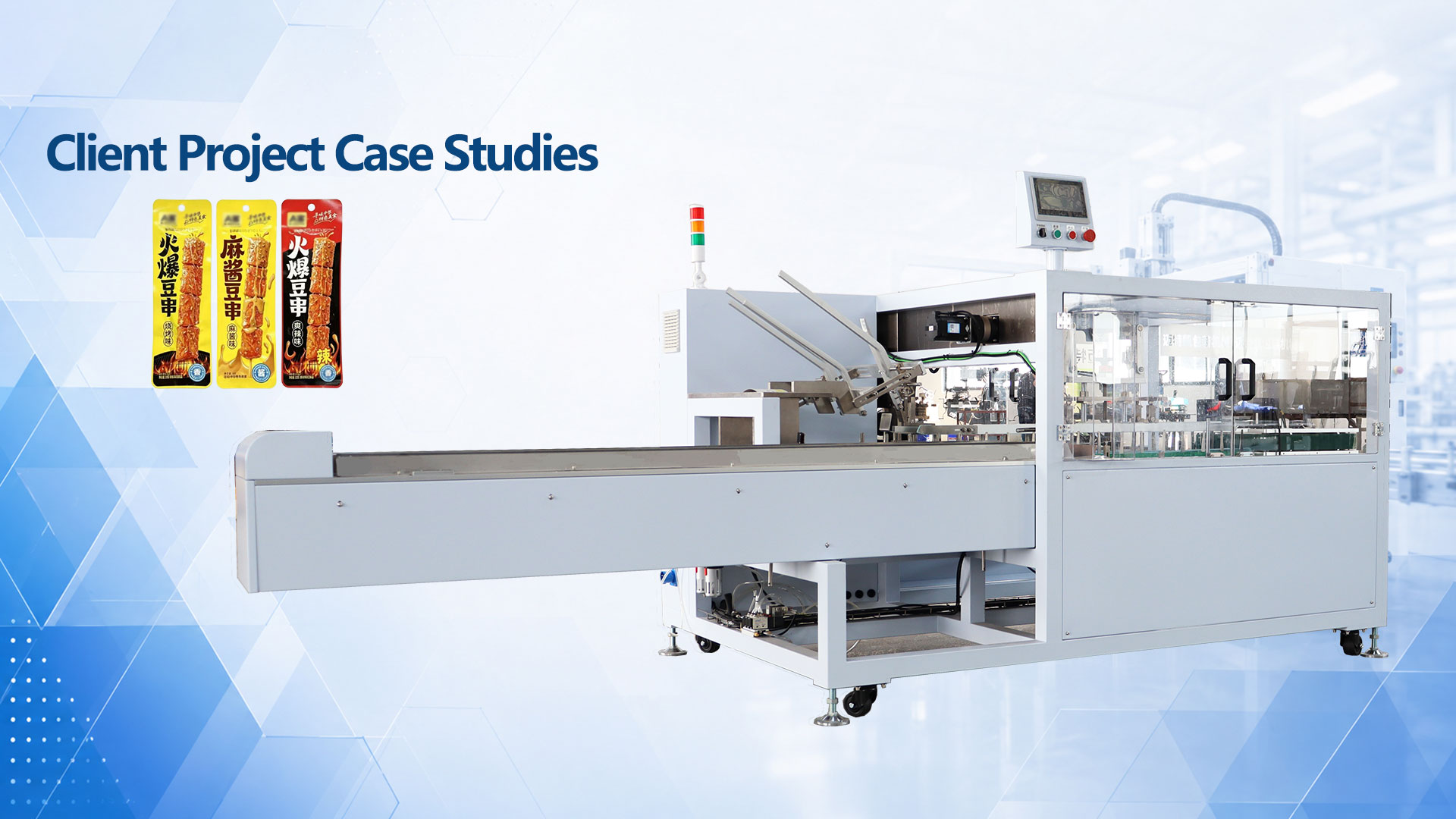 Spicy Snack Cartoning Machine
